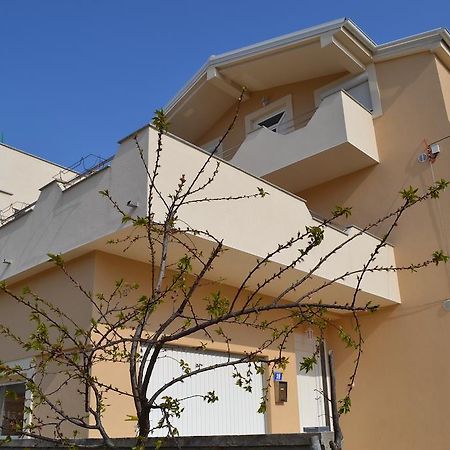 Apartments Danijela Zara Esterno foto